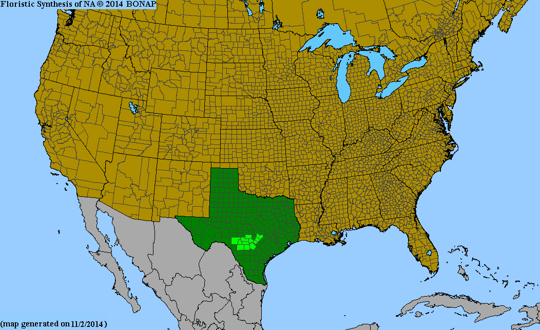 County distribution map of Aesculus pavia var. flavescens - Red Buckeye